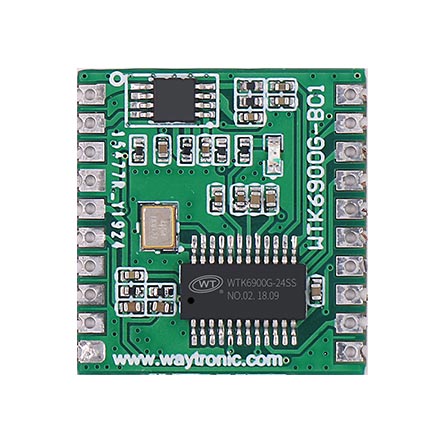 WTK6900G-B02本地语音识别模块
