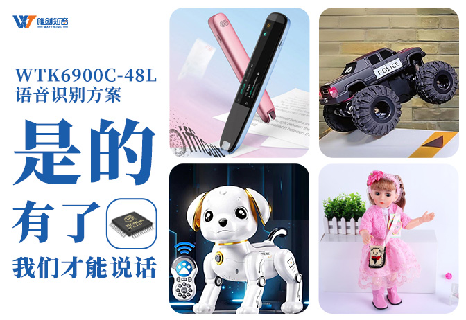 WTK6900C-48L：离线语音芯片重构玩具DNA，从“按键操控”到“声控陪伴”的交互跃