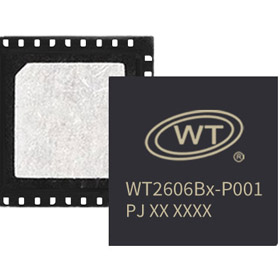 WT2606Bx-P001