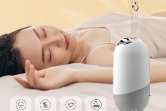 加湿助眠仪语音IC芯片 白噪音语音方案 WTN6040F-8S