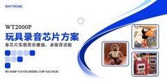 玩具录音芯片方案-WT2000P单芯片集成播报及录放音功能-直推8欧姆0.5W喇叭