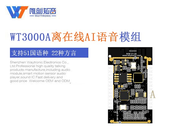 WT3000A.jpg
