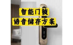 智能门锁多语种语音存储方案WTV-B019外置SPIFlash