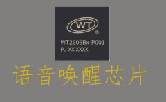 语音唤醒功能需要硬件支持吗？