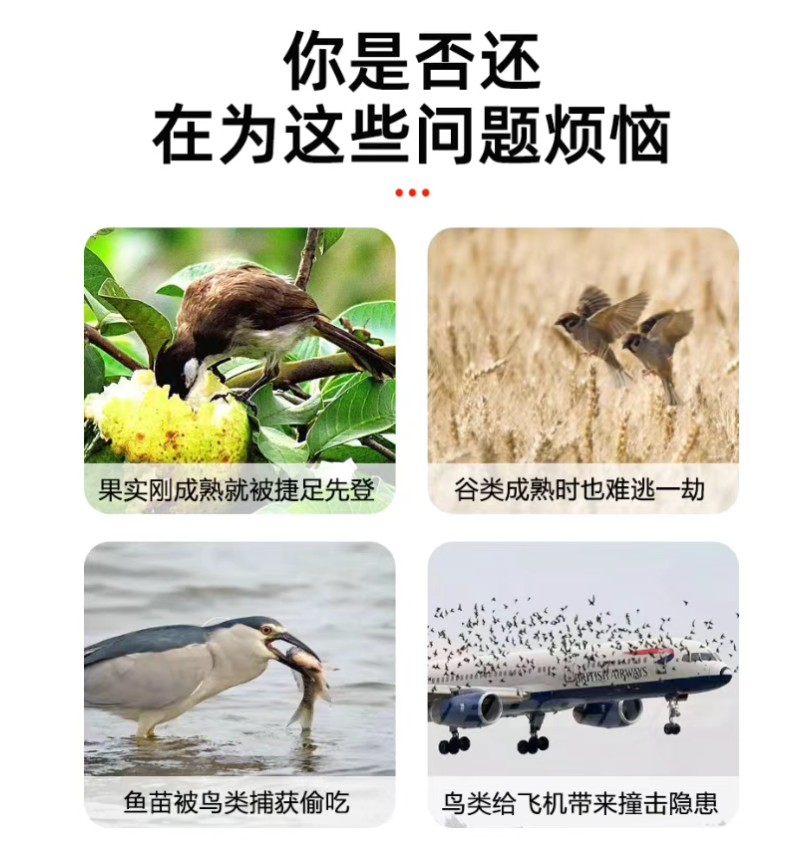 1764643634167696.png image.png