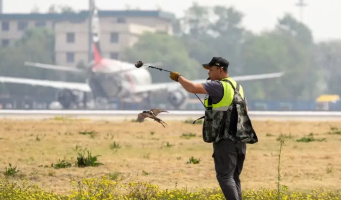 1764643816828873.png image.png