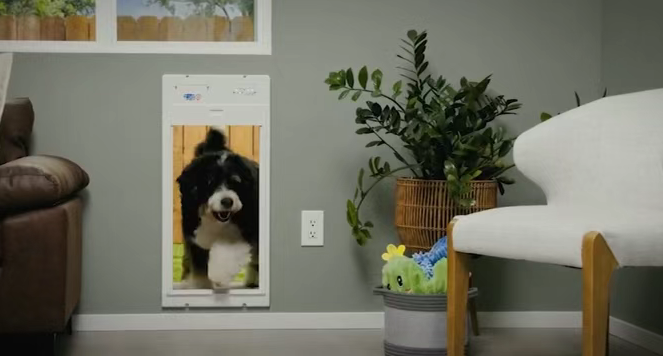 1765355378561010.png image.png