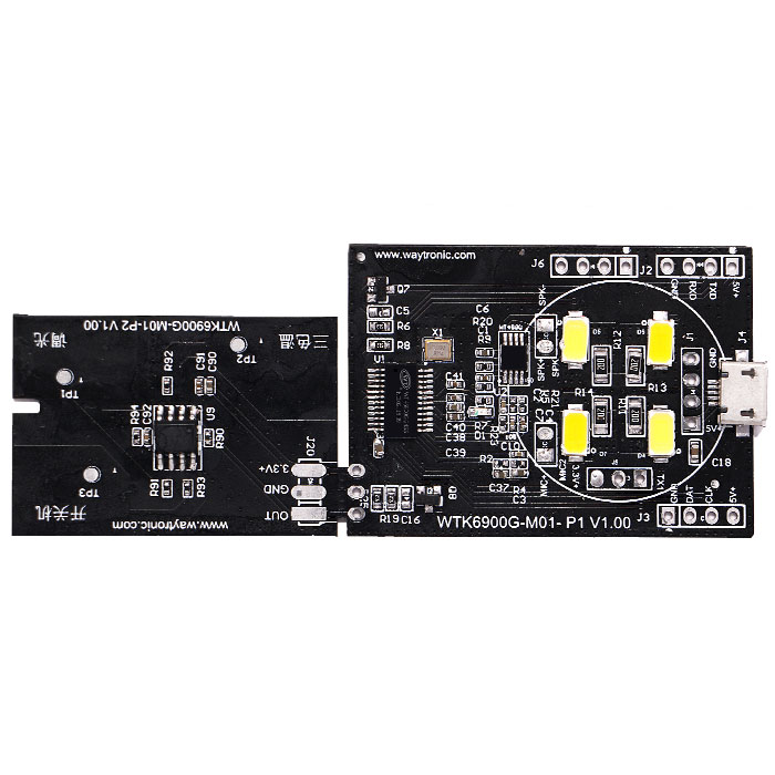 WTK6900G-M01-P1灯具语音控制ic