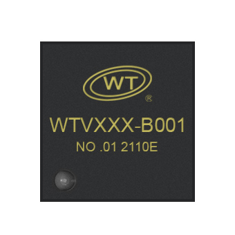 WTVXXX B001数码管拓展语音芯片