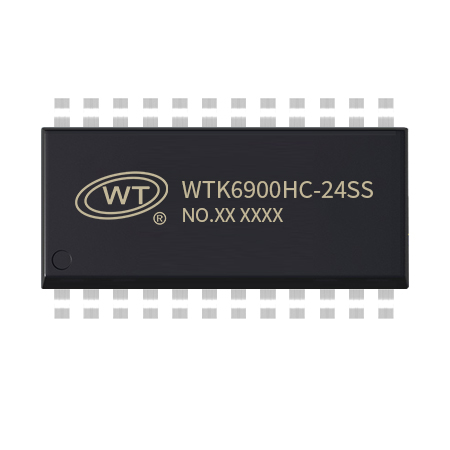 主图450X450-WTK6900HC-24SS