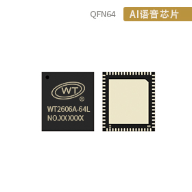 WT2606A-64L-5W6
